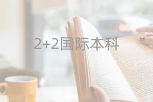 对外经济贸易大学金融学院2+2国际本科招生简章